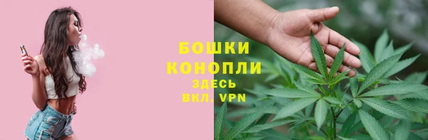 герыч Арсеньев