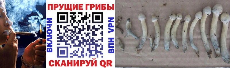 Галлюциногенные грибы прущие грибы  как найти наркотики  это Telegram  Урай 